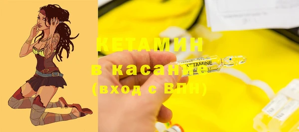 стаф Верея