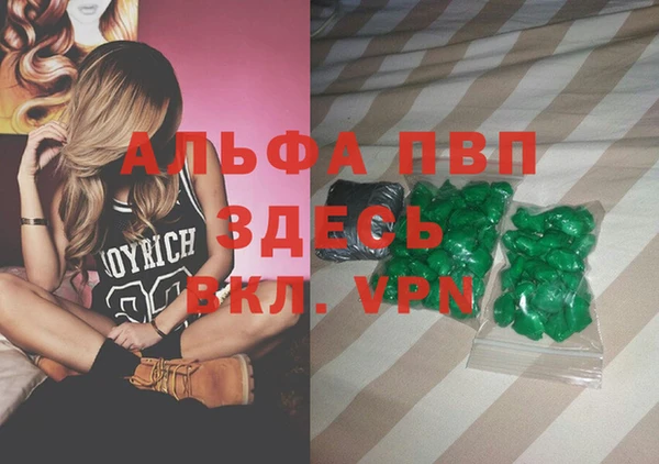 стаф Верея