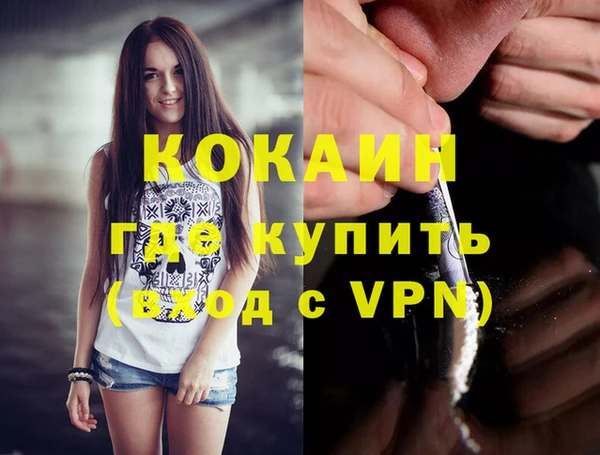 стаф Верея