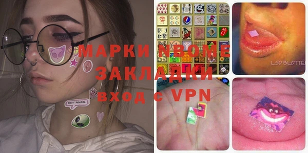 стаф Верея