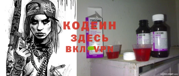 стаф Верея