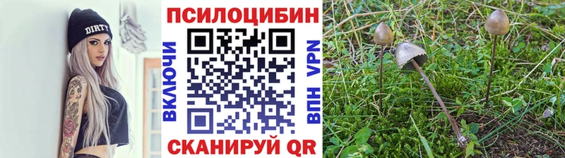 Псилоцибиновые грибы Magic Shrooms  Мончегорск 