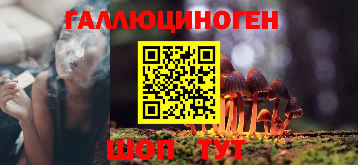 Мончегорск  Галлюциногенные грибы прущие грибы  купить наркоту  Вход с VPN 